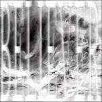 mountains among us - believer