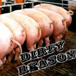 Dirty Reason - SelfTitled