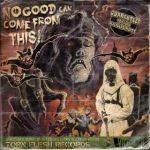 NoGoodCanComeFromThis