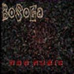 BoSoGa - Odd Music