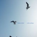 Robber & Thief - To the Rooftops