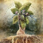 OVERCOLORED - Mandragora