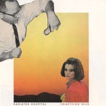 radiator-hospital-something-wild