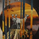 Family Photos - Evil is Evil