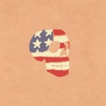 Wood Spider-AmerCass