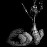 Bright Curse - Shaman