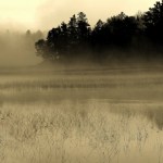 Becoming The Lion-ghosts