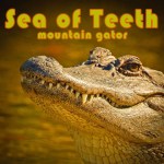 Sea of Teeth-Mountain Gator