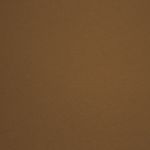 darrylshepard-soloacoustic