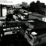 icedragonintothewastelan108225_f