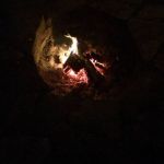 allnightsingles2016-1