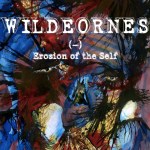 wildeornes-erosion