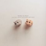 robberthief-lostpets